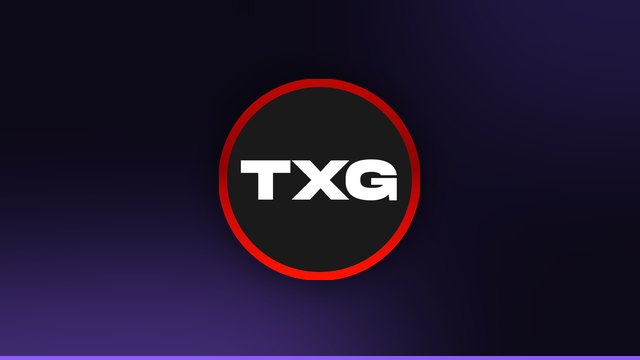 TXG Valorant Circuit: Invitational tournament logo